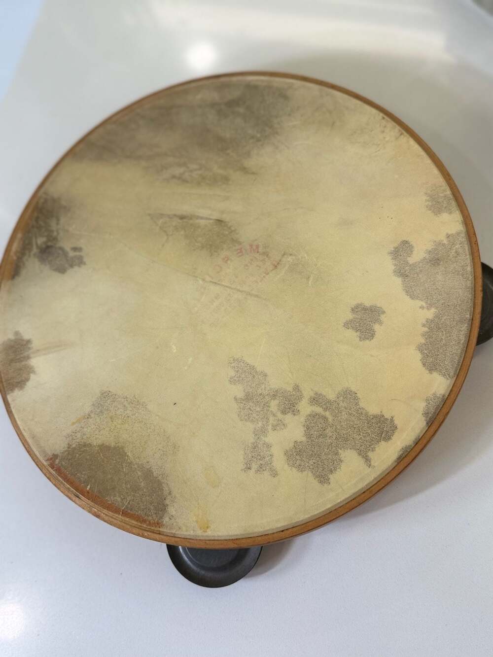 Mercurio Traditional Brazilian Pandeiro Hand Drum - Picture 5 of 5